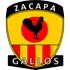 Deportivo Zacapa logo