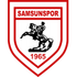 Samsunspor logo