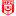 Hallescher FC