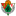 Cacereno