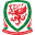 Wales U21