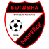 Belshina Bobruisk logo