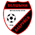 Belshina Bobruisk Belshina Bobruisk logo