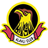 Al Ahli Al Ahli logo