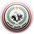 Tala'ea El Gaish logo
