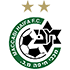 Maccabi Haifa logo