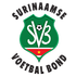 Surinam logo