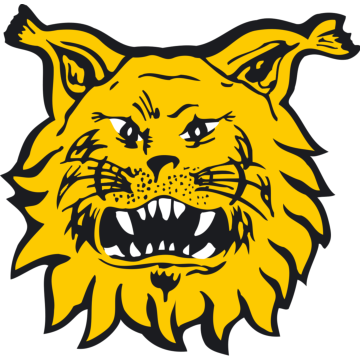 Ilves logo