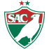 Salgueiro Salgueiro logo