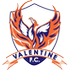 Valentine Phoenix logo