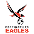 Edgeworth Eagles logo