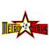 North Eastern Metro Stars logo