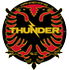 Dandenong Thunder SC Dandenong Thunder SC logo
