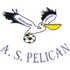 AS Pélican AS Pélican logo