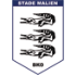 Stade Malien Stade Malien logo