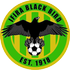 Ifira Black Bird logo