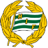 Hammarby IF logo