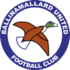 Ballinamallard United logo
