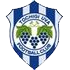 Tochigi City FC Tochigi City FC logo