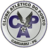 CA Porto CA Porto logo