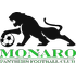 Monaro Panthers logo
