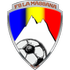 La Massana logo