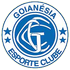 Goianesia logo