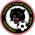 Tanjong Pagar United FC logo