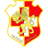 Naxxar Lions FC Naxxar Lions FC logo