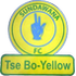 Sandawana FC Sandawana FC logo