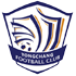 Cangzhou Mighty Lions F.C. logo