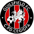 Guilsfield FC Guilsfield FC logo
