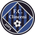 FC Academica Clinceni logo