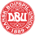 Danmark U19 logo