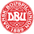 Danmark U19 Danmark U19 logo