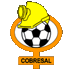 Cobresal logo