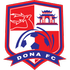 Dong Nai FC logo