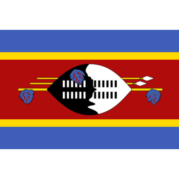 Eswatini logo