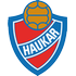 Haukar logo