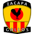 Deportivo Zacapa Deportivo Zacapa logo
