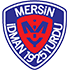 Yeni Mersin Idmanyurdu logo