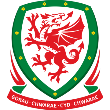 Wales U21 logo