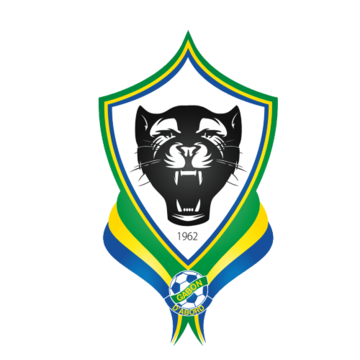 Gabon logo