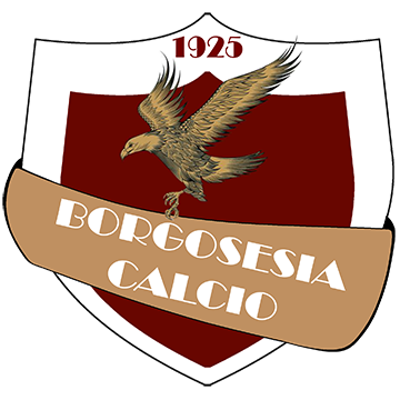 Borgosesia logo