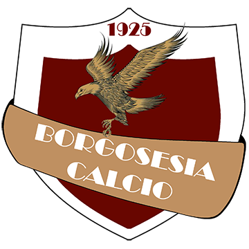 Borgosesia Borgosesia logo