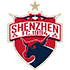 Shenzhen FC