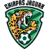 Jaguares Chiapas