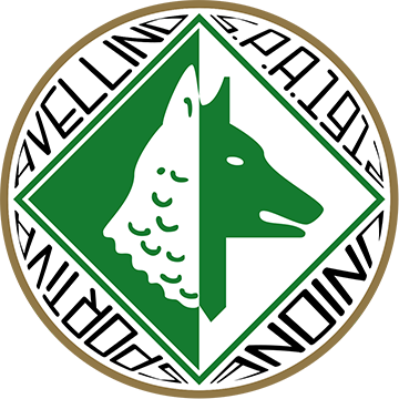 Avellino logo