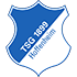 Hoffenheim logo