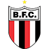 Botafogo SP logo